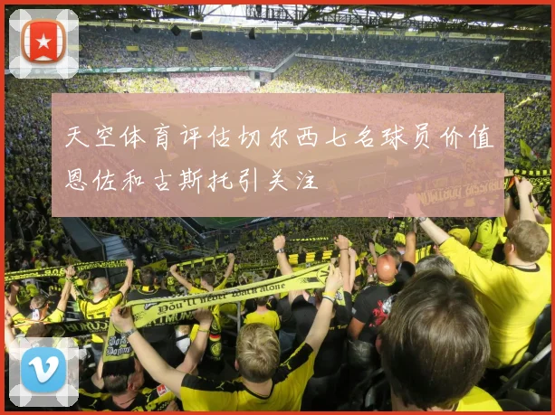 天空体育评估切尔西七名球员价值恩佐和古斯托引关注