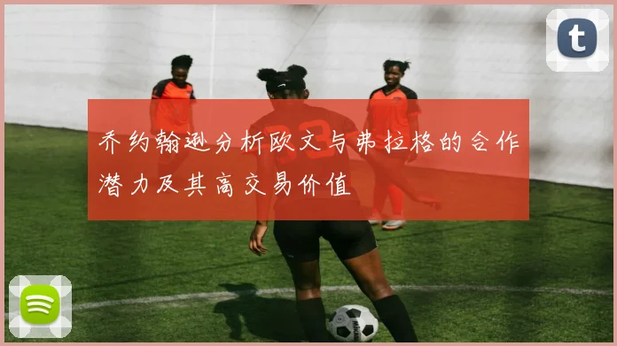 乔约翰逊分析欧文与弗拉格的合作潜力及其高交易价值